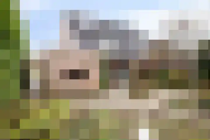 De Zuiling 71 Elst thumbnail 35