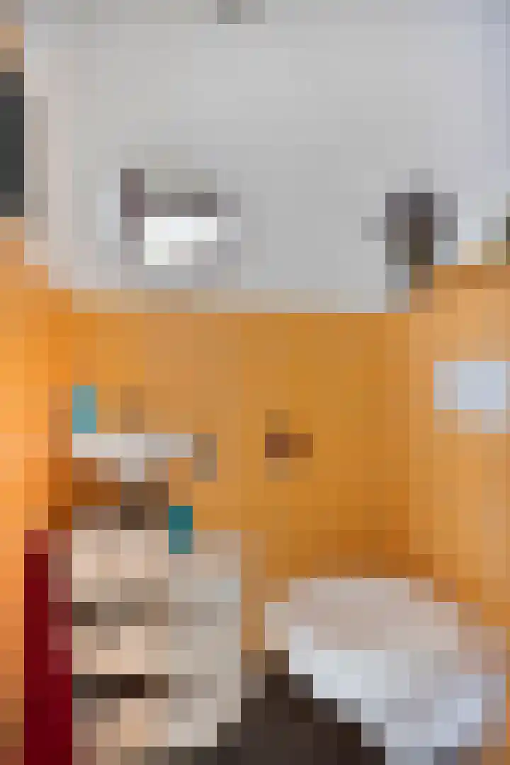 De Zuiling 71 Elst thumbnail 6