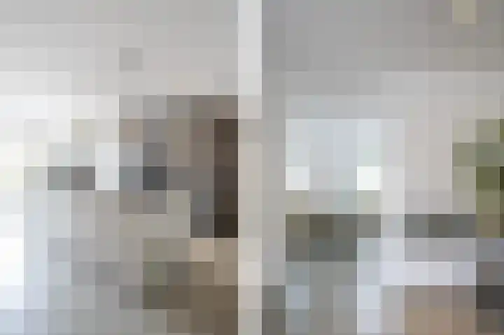 De Zwaan 2 Beusichem thumbnail 10