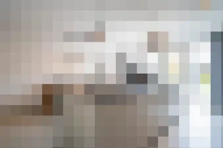 De Zwaan 2 Beusichem thumbnail 12