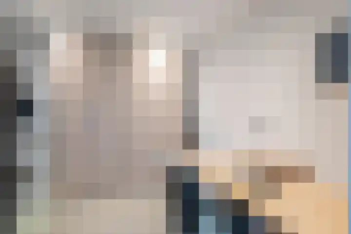 De Zwaan 2 Beusichem thumbnail 15
