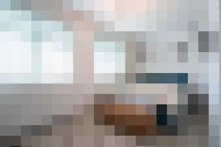 De Zwaan 2 Beusichem thumbnail 19