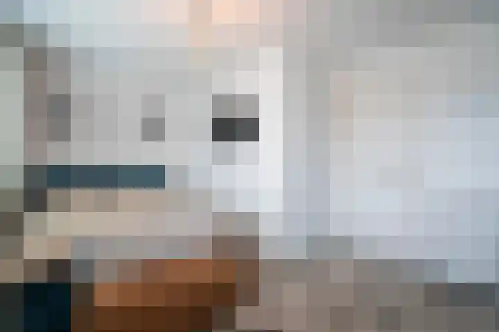 De Zwaan 2 Beusichem thumbnail 20