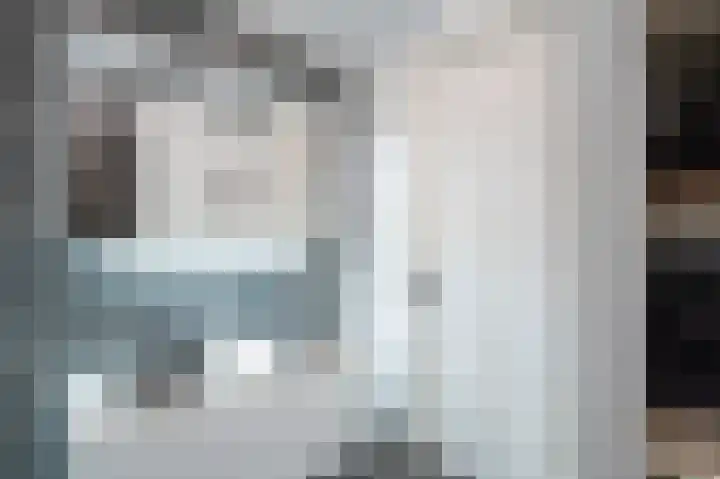 De Zwaan 2 Beusichem thumbnail 24