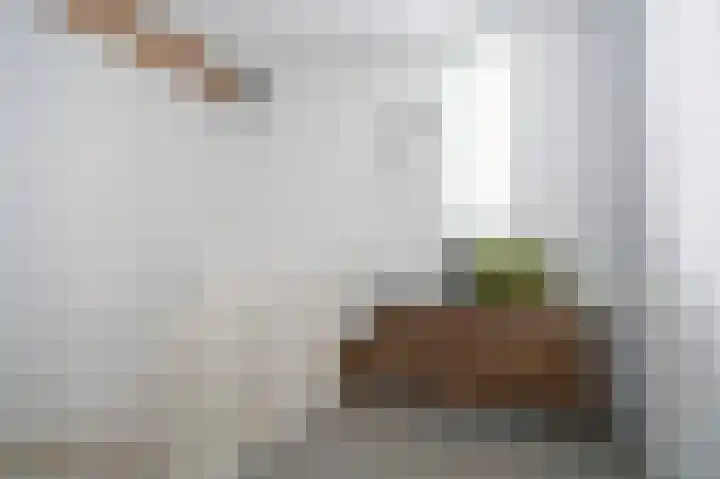 De Zwaan 2 Beusichem thumbnail 29