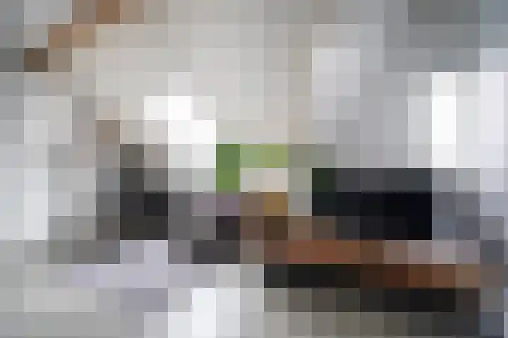 De Zwaan 2 Beusichem thumbnail 30