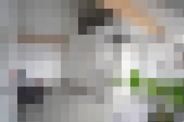 De Zwaan 2 Beusichem thumbnail 33