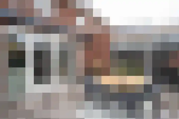 De Zwaan 2 Beusichem thumbnail 35