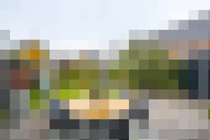 De Zwaan 2 Beusichem thumbnail 36