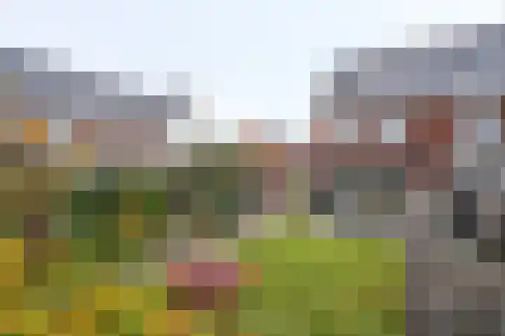 De Zwaan 2 Beusichem thumbnail 38