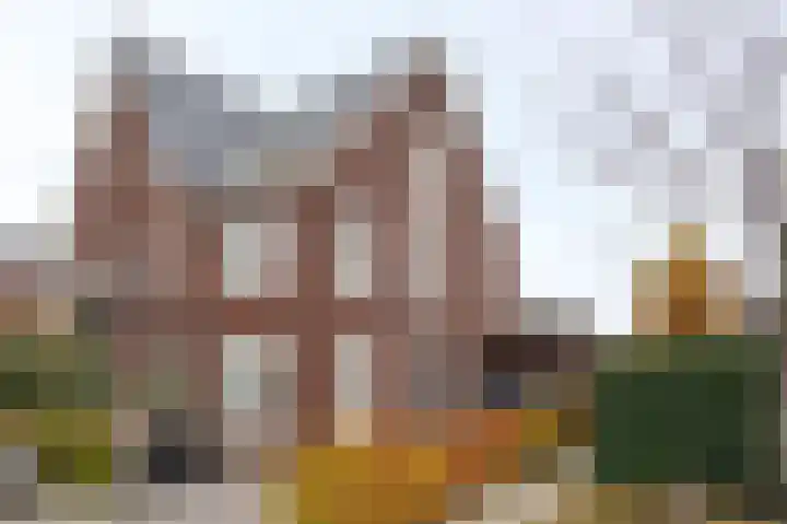 De Zwaan 2 Beusichem thumbnail 43