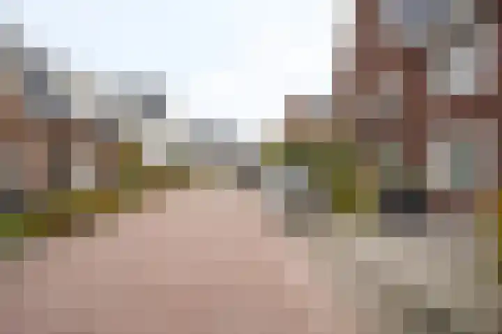 De Zwaan 2 Beusichem thumbnail 45