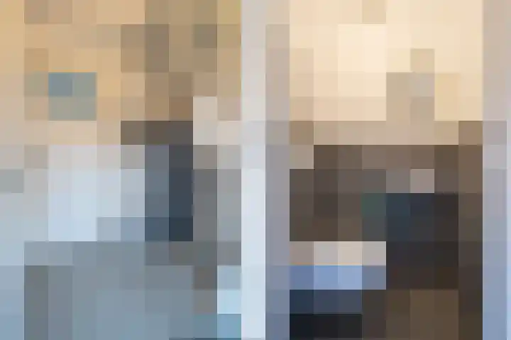 De Zwaan 2 Beusichem thumbnail 6