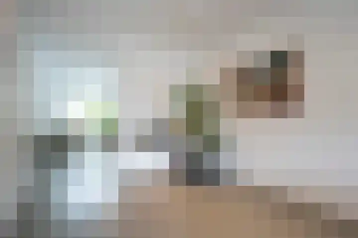 De Zwaan 2 Beusichem thumbnail 7