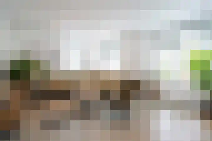 De Zwaan 2 Beusichem thumbnail 8