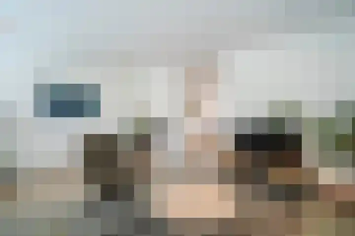 De Zwaan 2 Beusichem thumbnail 9