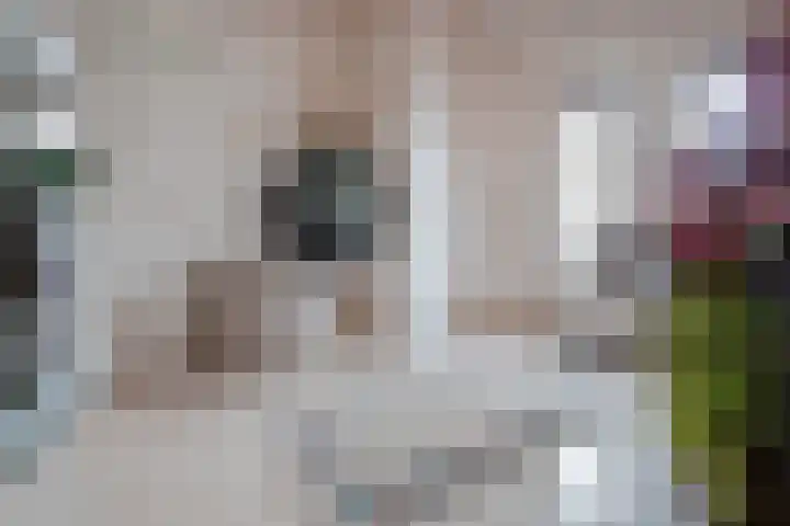 De Zwong 8 Heythuysen thumbnail 24