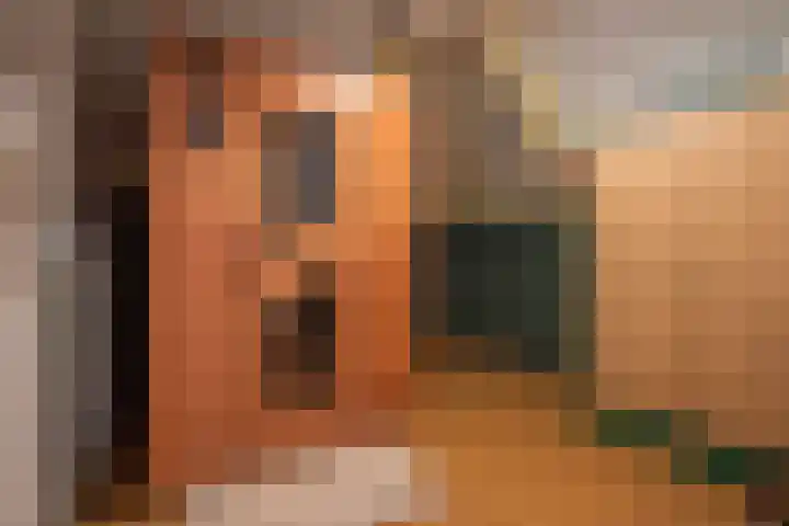 De Zwong 8 Heythuysen thumbnail 31