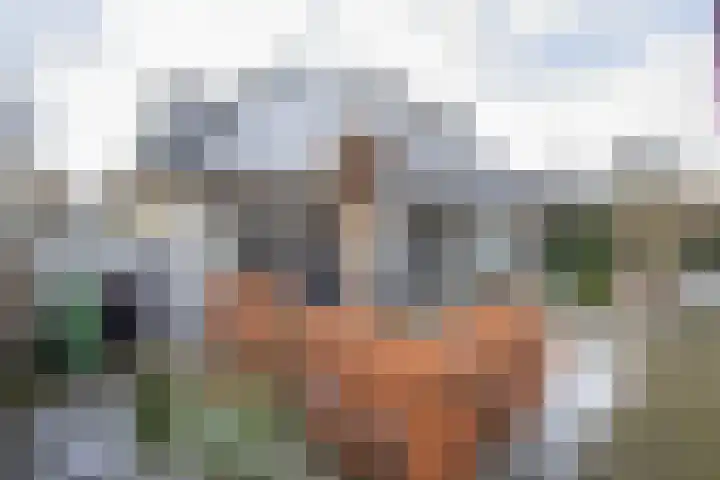 De Zwong 8 Heythuysen thumbnail 40