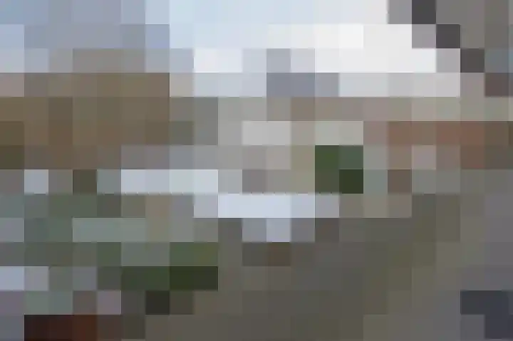 De Zwong 8 Heythuysen thumbnail 41