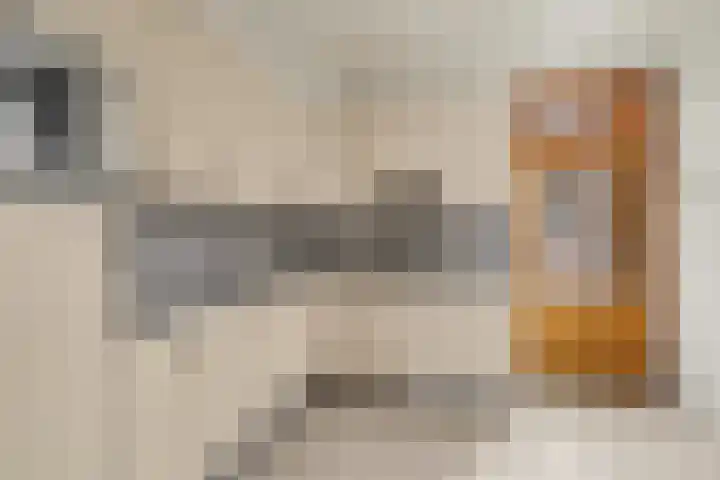 Debetslaan 31 Landgraaf thumbnail 15