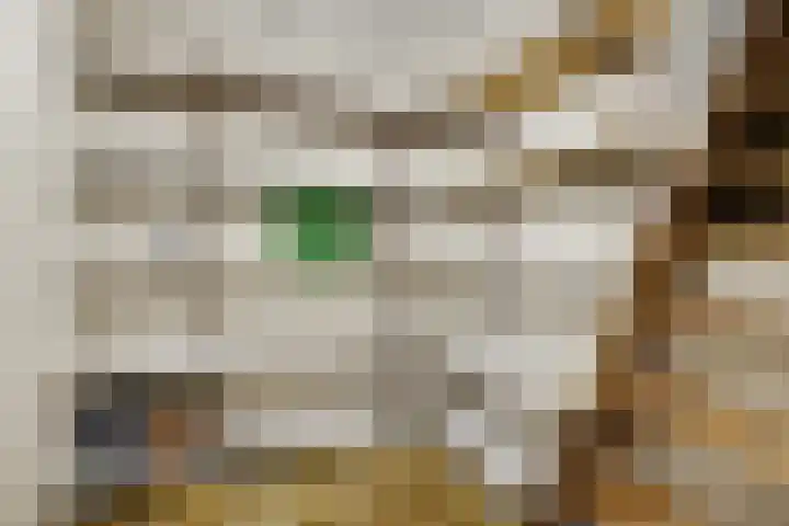 Debetslaan 31 Landgraaf thumbnail 36