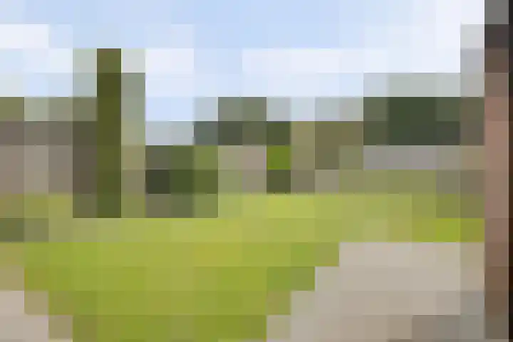 Debetslaan 31 Landgraaf thumbnail 43