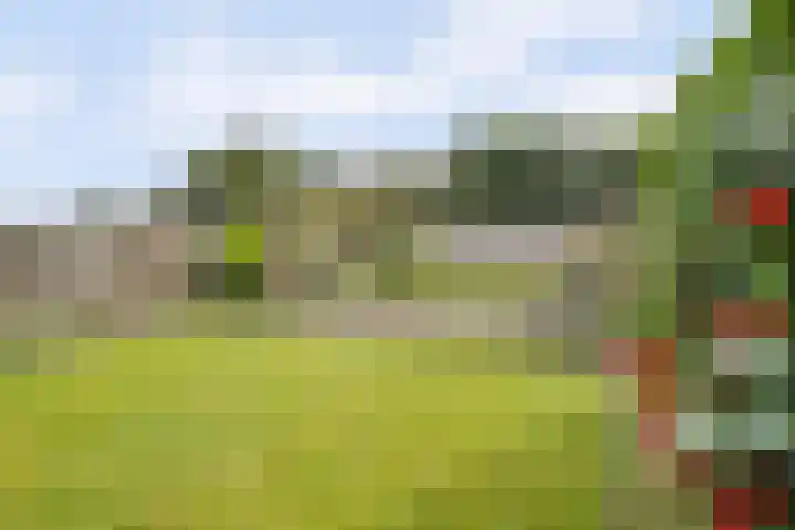 Debetslaan 31 Landgraaf thumbnail 44