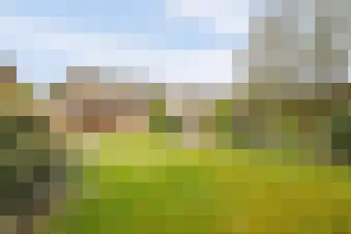 Debetslaan 31 Landgraaf thumbnail 47