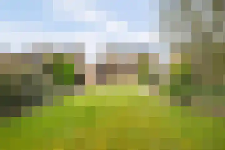 Debetslaan 31 Landgraaf thumbnail 48
