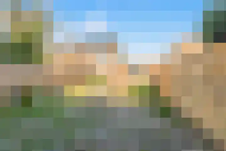 Debora Bakelaan 11 Heemskerk thumbnail 12