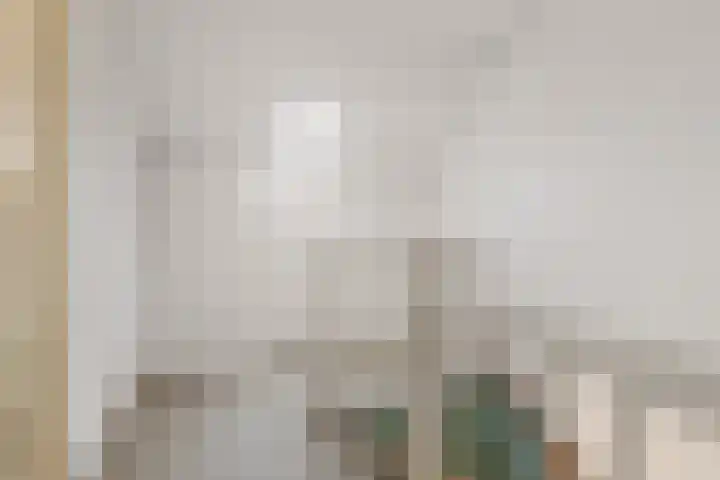 Debora Bakelaan 11 Heemskerk thumbnail 24