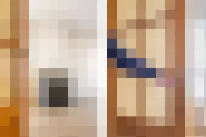 Debora Bakelaan 11 Heemskerk thumbnail 4