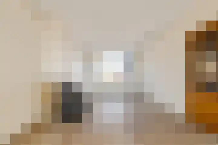 Debora Bakelaan 11 Heemskerk thumbnail 6