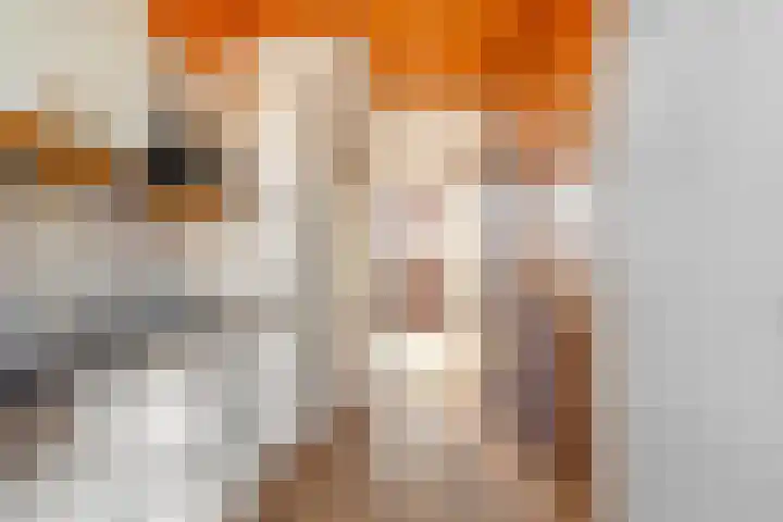 Debora Bakelaan 11 Heemskerk thumbnail 8