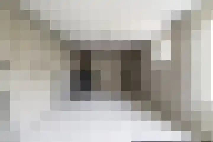 Debussystraat 19 Culemborg thumbnail 38