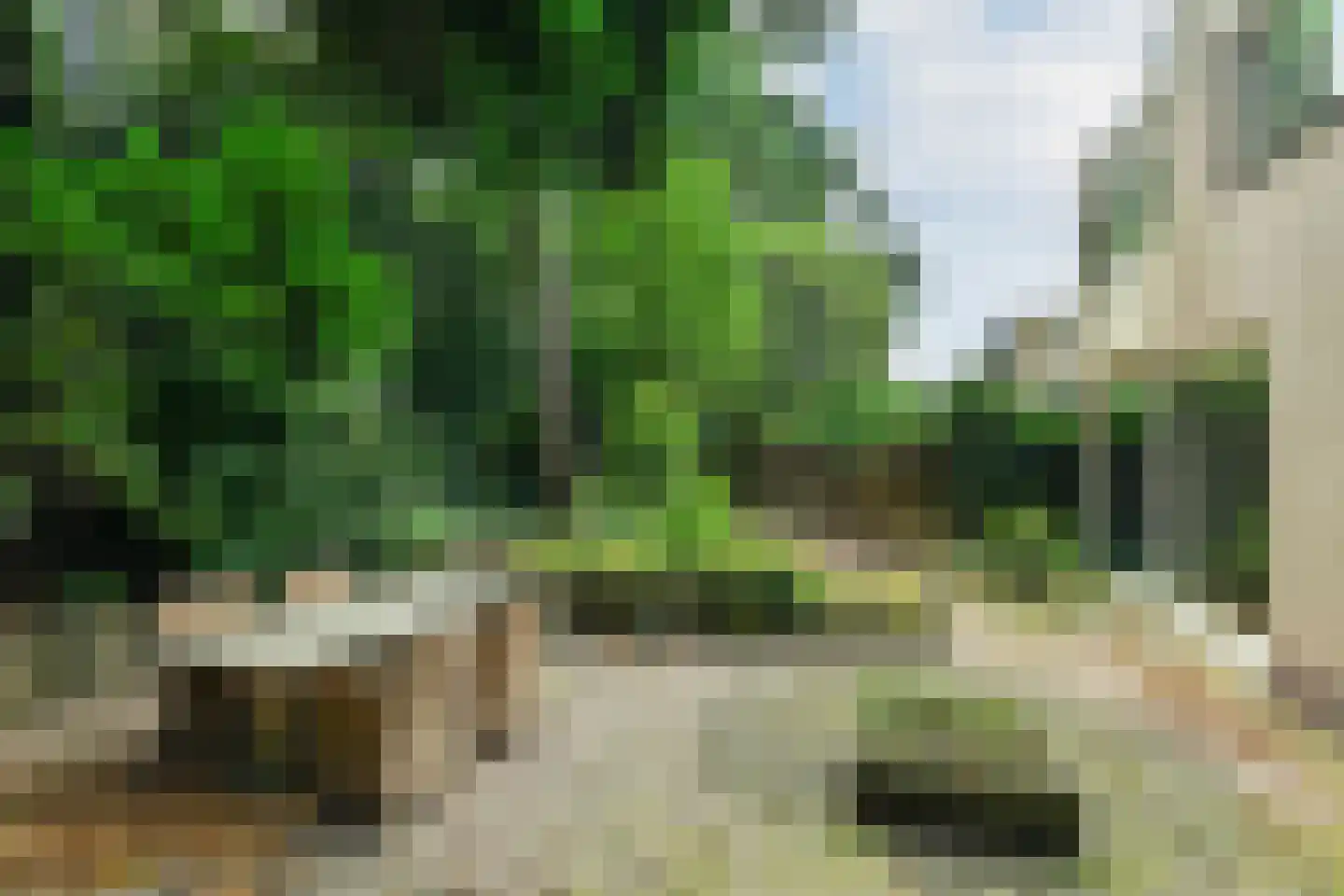 Debussystraat 20 Arnhem thumbnail 4