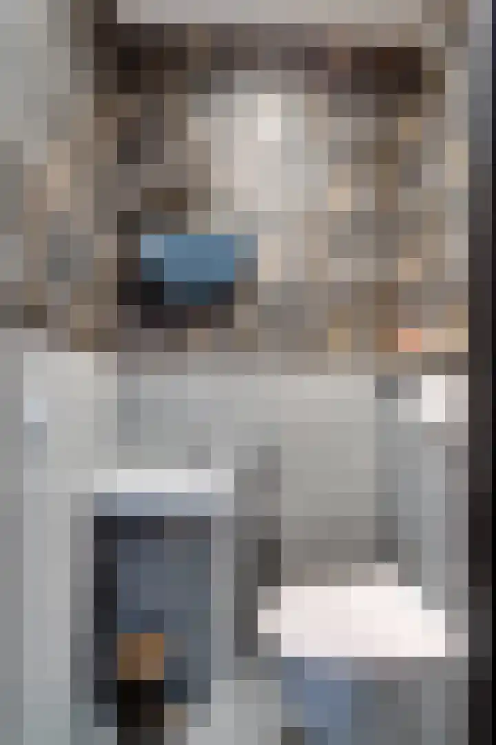 Debussystraat 4 Zevenaar thumbnail 22
