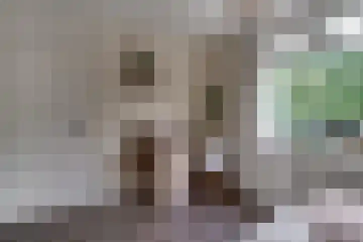 Debussystraat 4 Zevenaar thumbnail 29