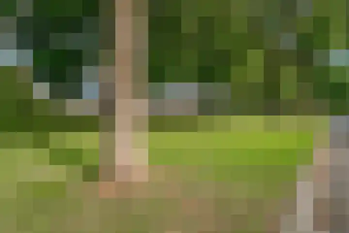 Debussystraat 4 Zevenaar thumbnail 4