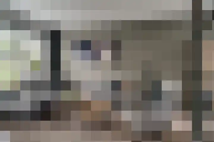 Debussystraat 4 Zevenaar thumbnail 7