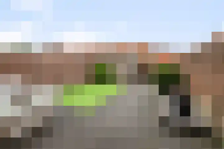 Decatlon 61 Assendelft thumbnail 11