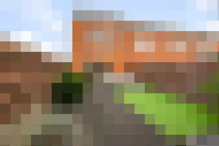 Decatlon 61 Assendelft thumbnail 14