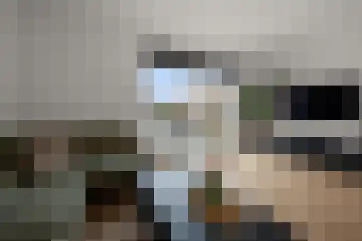 Decatlon 61 Assendelft thumbnail 6