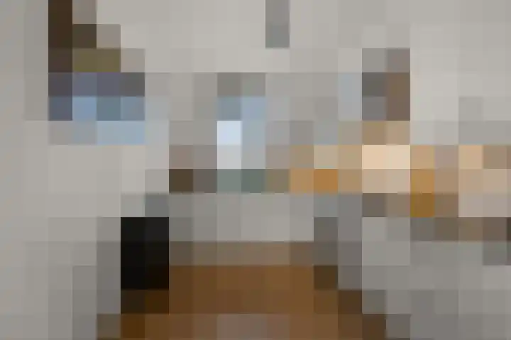 Decatlon 61 Assendelft thumbnail 7