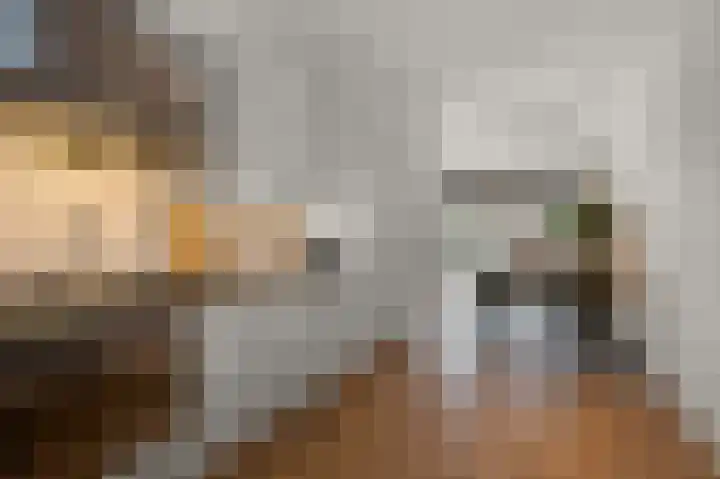 Decatlon 61 Assendelft thumbnail 9