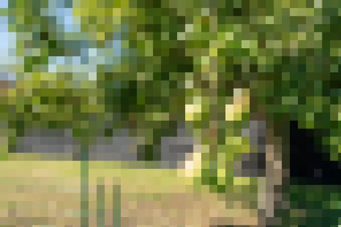 Deckersstraat 12 Leveroy thumbnail 27