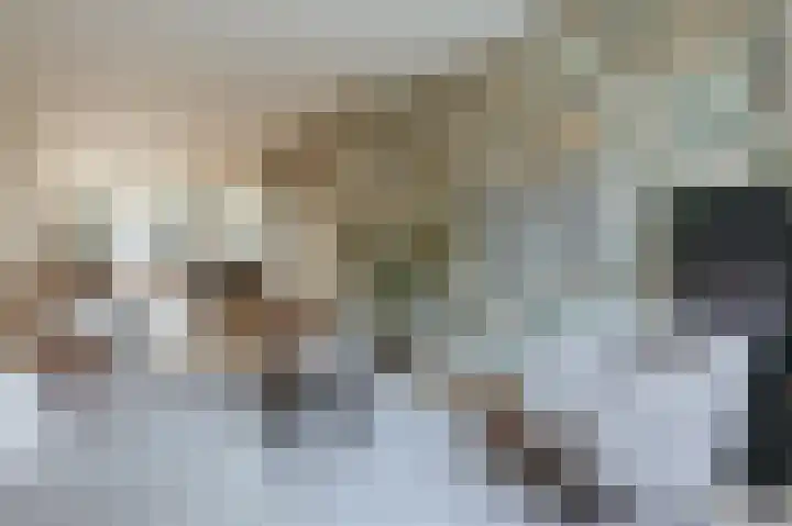 Deckerstraat 3 Haarlem thumbnail 8