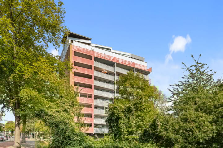 Dedemsvaartweg 291 in 's-Gravenhage foto