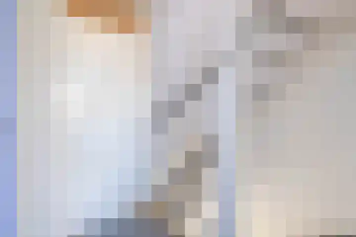 Deel 16 Brielle thumbnail 24